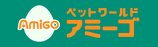 株式会社アミーゴ