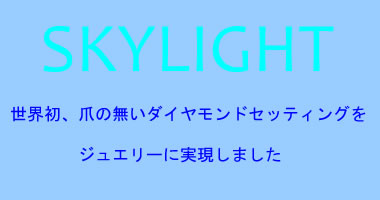 株式会社スカイライト
