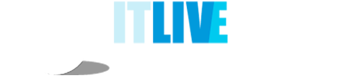 株式会社ＩＴライブ