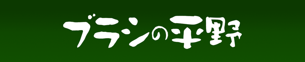 有限会社平野刷毛製作所