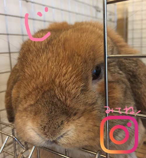 株式会社ワズモード