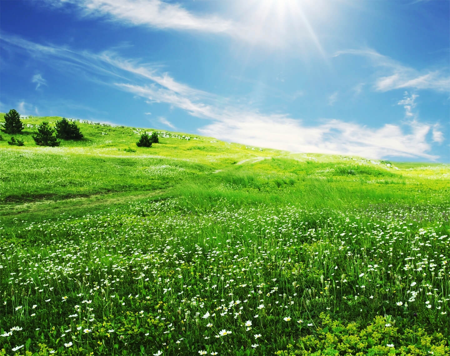 株式会社常伸冷熱工業