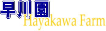 有限会社早川