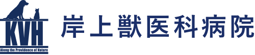 有限会社岸上獣医科病院