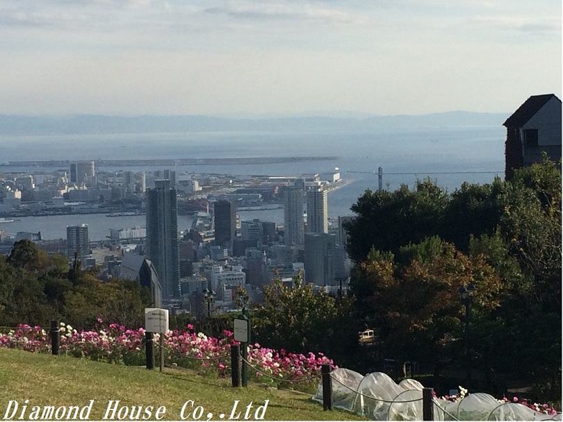 ダイヤモンドハウス有限会社