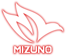 有限会社水野加工