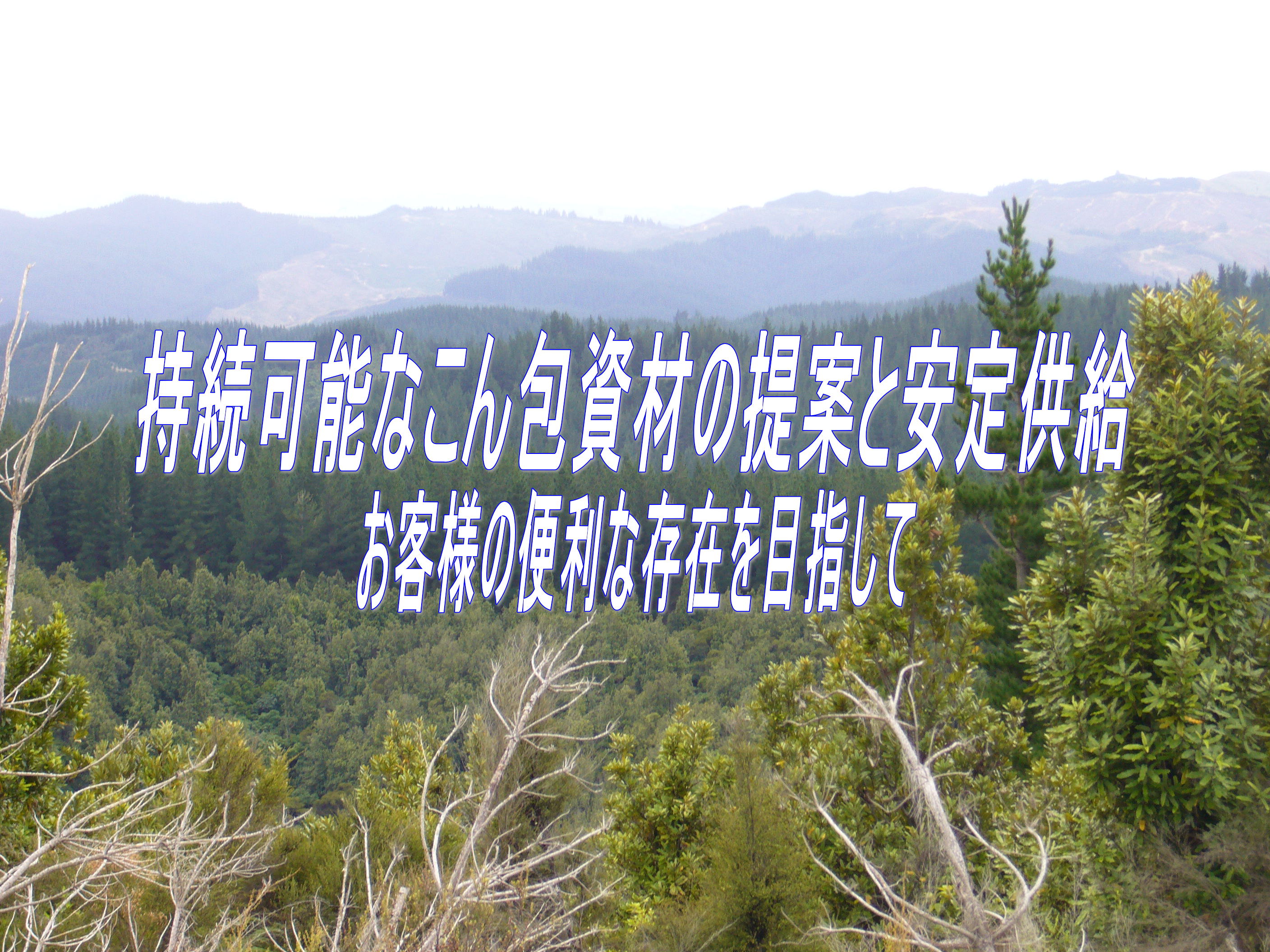 株式会社アオヤギ