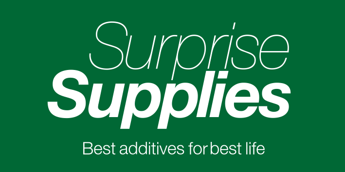 サプライズサプライズ株式会社