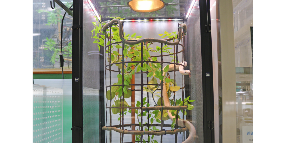 株式会社スコープ