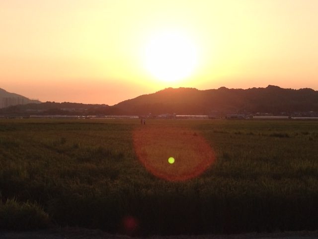 はるさん農園株式会社