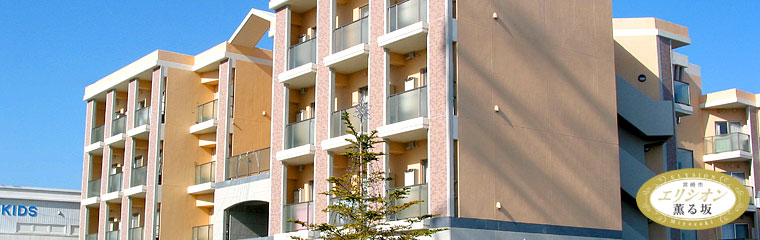 株式会社アイケア