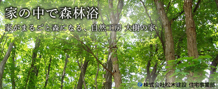 株式会社松木建設