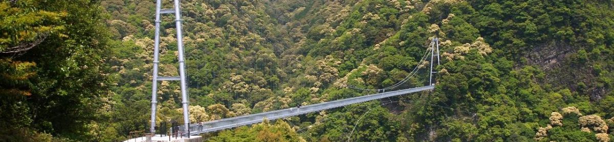 有限会社イザワホーム