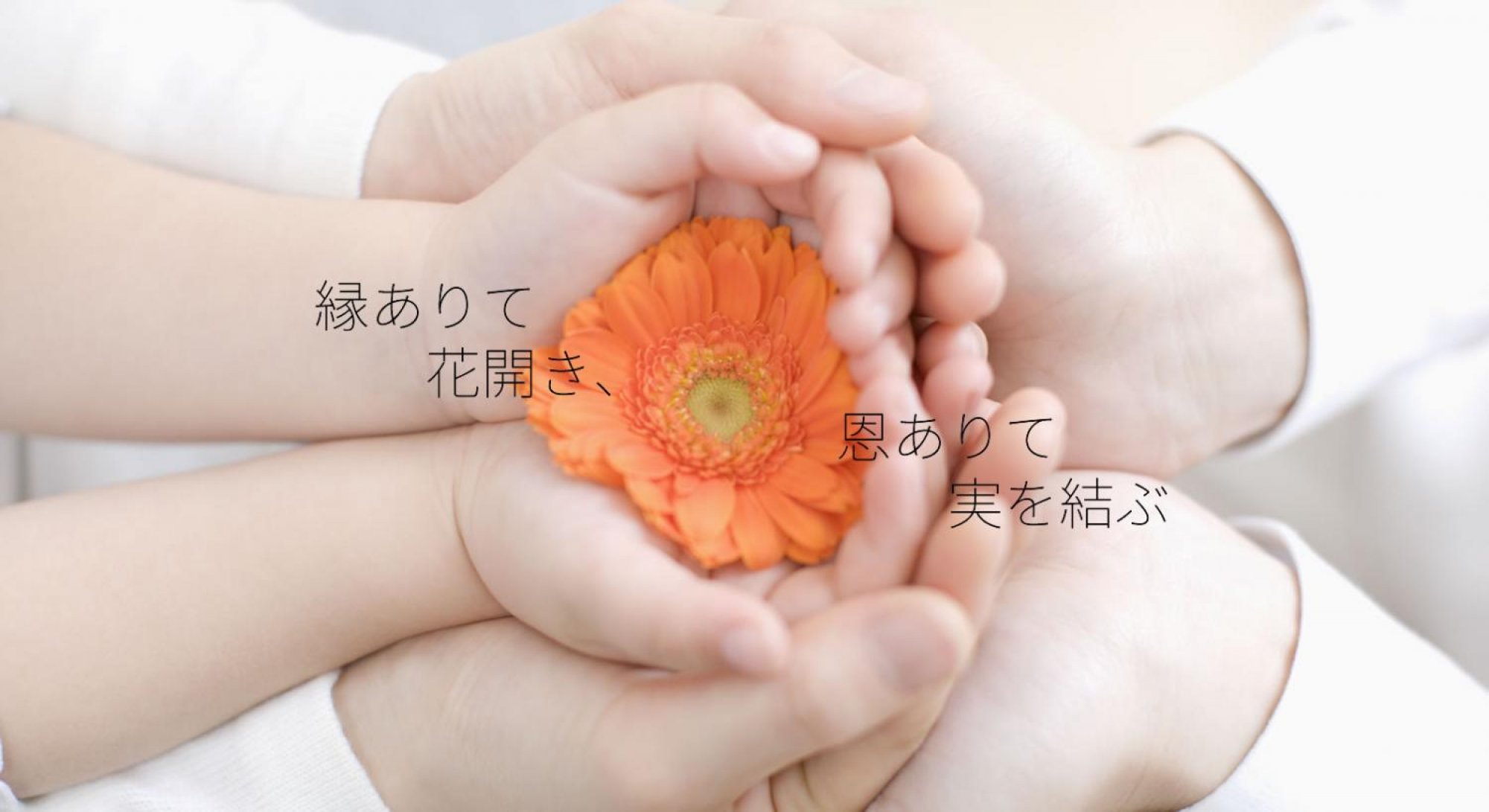 株式会社エン・エンタープライズ