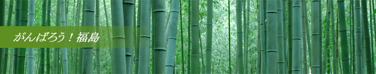 有限会社松南電機