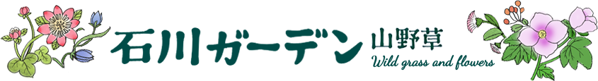 有限会社石川ガーデン