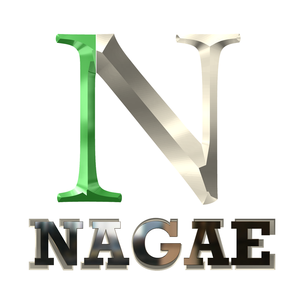 株式会社ＮＡＧＡＥ
