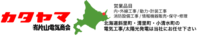 有限会社片山電気商会