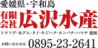 有限会社広沢水産