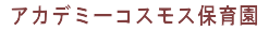 アカデミーインターナショナル有限会社
