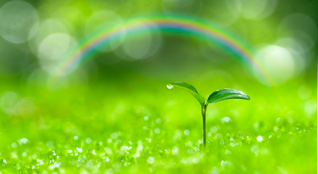 株式会社三友塗工