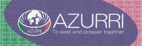 有限会社アズーリ