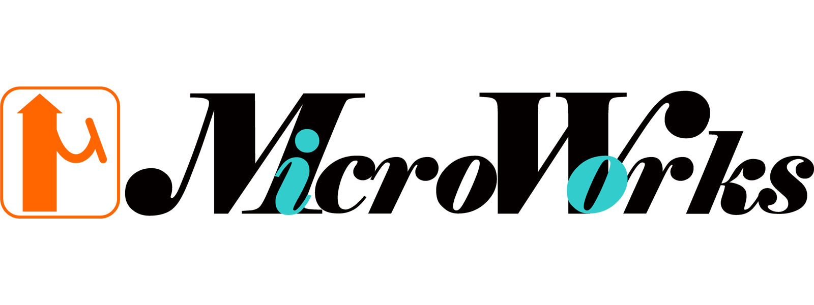 マイクロワークス株式会社