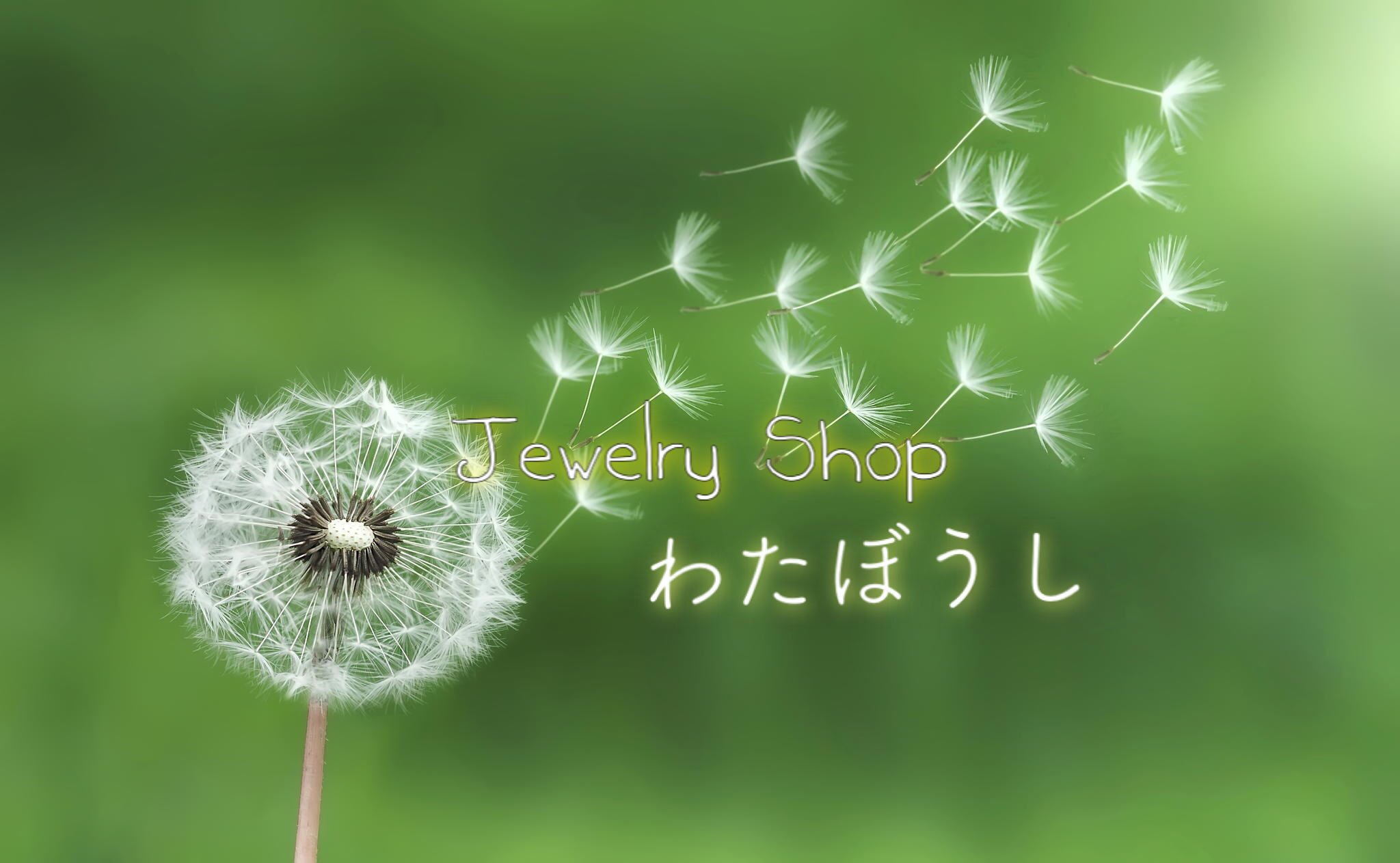 有限会社シオモト
