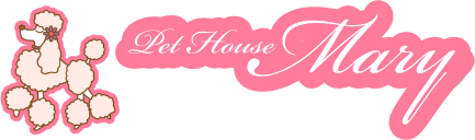 株式会社マリー