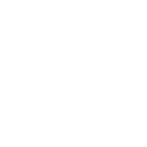 ＭＡＲＶＥＬＯＵＳ株式会社