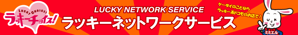 株式会社ラッキーネットワークサービス
