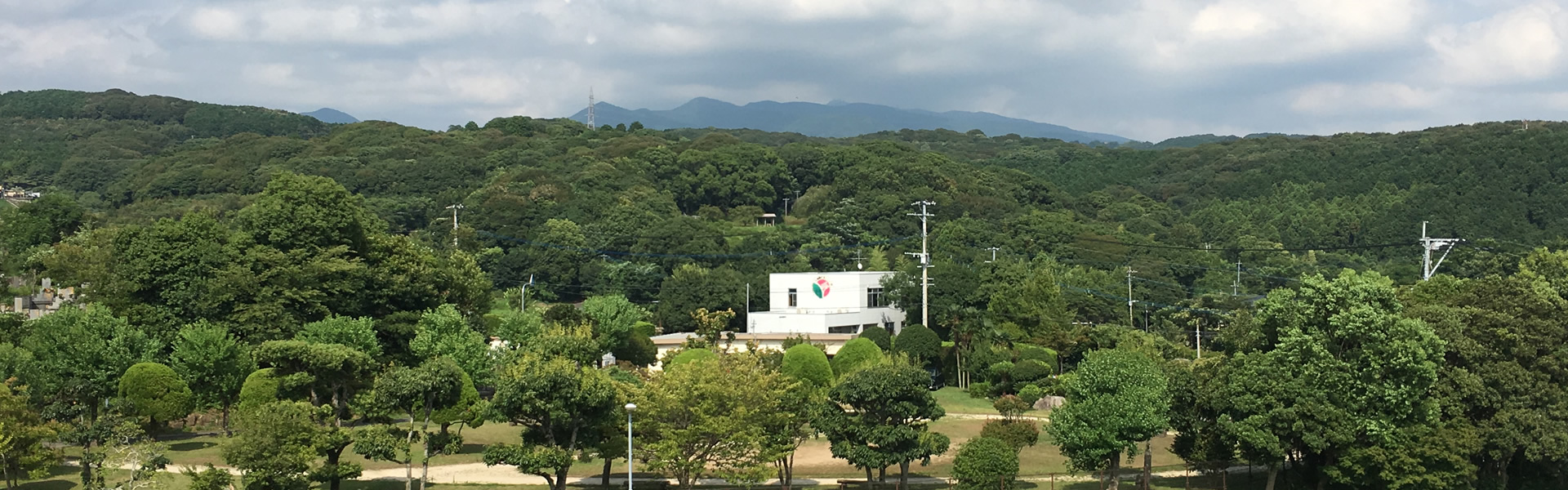 社会福祉法人カメリア
