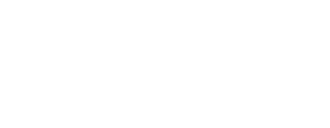 有限会社リビックス