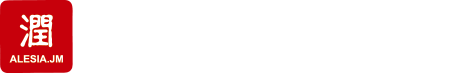 株式会社ALESIA.JM