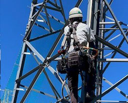 株式会社関西ベルコール