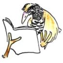 有限会社ジグゼコミュニケーションズ