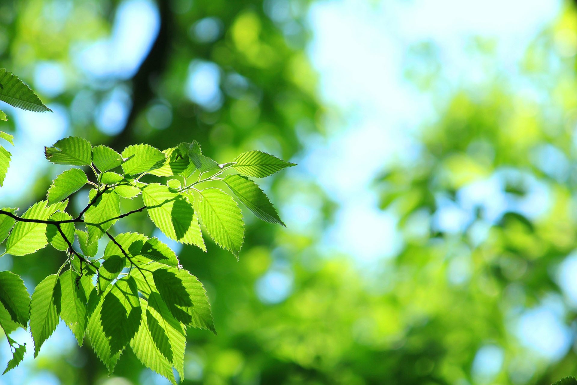 栗原建設株式会社