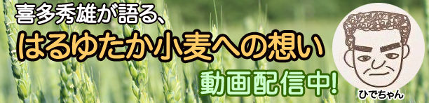 有限会社三雄産業