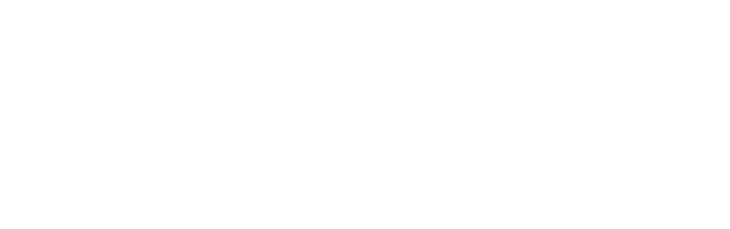 ＲＥＡＬＩＺＥ合同会社