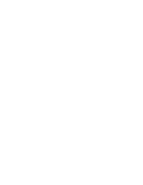 有限会社ＰＡＧＥ１