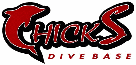 有限会社チックス