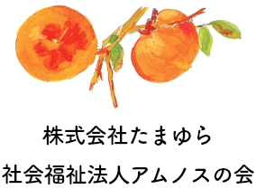 株式会社たまゆら