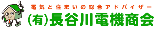 有限会社長谷川電機商会