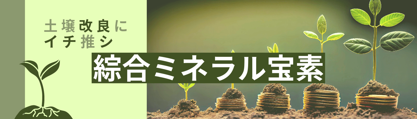 有限会社百津屋商店