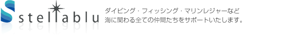 株式会社ステラブル
