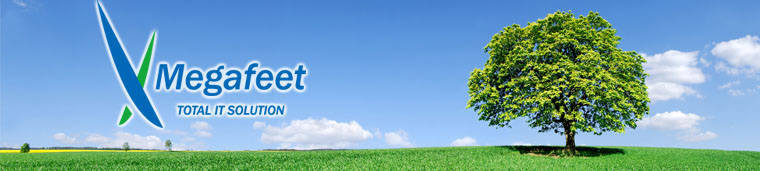 株式会社ＭＥＧＡＦＥＥＴ