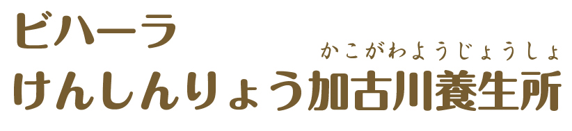株式会社けんしん