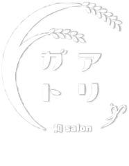 株式会社Ａｒｉｇａｔｏ