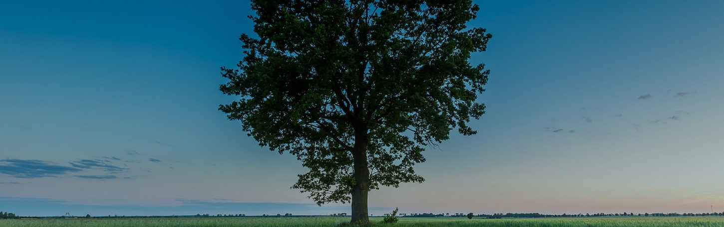 株式会社プライム評価研究所