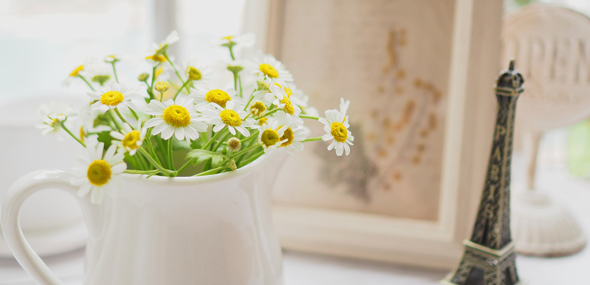 株式会社グランプラス